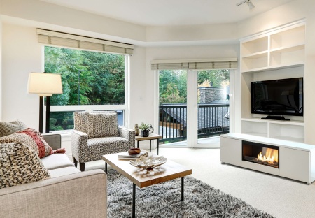 Биокамин  Pure Flame TV Box по цене 299 000 руб.